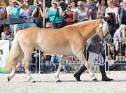 Mississippi. Pro zv�t�en� klikn�te