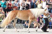 Unadonna. Pro zv�t�en� klikn�te