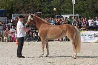 Unadonna. Pro zv�t�en� klikn�te