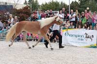 Unadonna. Pro zv�t�en� klikn�te