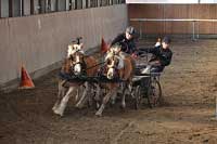 Pro zv�t�en� klikn�te