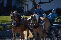 Pro zv�t�en� klikn�te