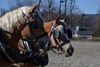 Pro zv�t�en� klikn�te