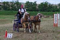 V�t�zn� sp�e�en� Ganz a Greta Evy �evelov�. Pro zv�t�en� klikn�te