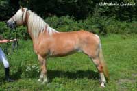 Mississippi. Pro zv�t�en� klikn�te