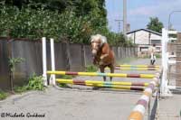 Skok ve volnosti - Mississippi. Pro zv�t�en� klikn�te