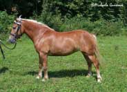 Lauretta. Pro zv�t�en� klikn�te