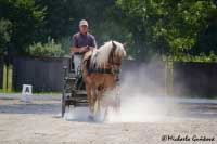 Lauretta jako jedin� jela vozatajskou drezuru. Pro zv�t�en� klikn�te