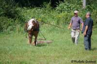 Lehk� tah v pod�n� Lauretty. Pro zv�t�en� klikn�te