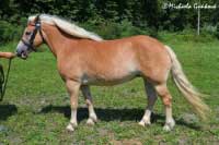 Samantha. Pro zv�t�en� klikn�te