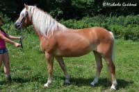 S�ra. Pro zv�t�en� klikn�te