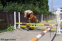 S�ra - skok ve volnosti. Pro zv�t�en� klikn�te