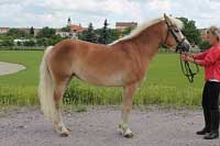 Gal�a. Pro zv�t�en� klikn�te