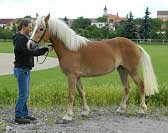 Fortuna Elena. Pro zv�t�en� klikn�te