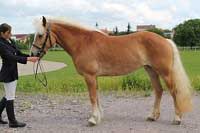 Pegy. Pro zv�t�en� klikn�te