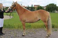 Vanesa. Pro zv�t�en� klikn�te