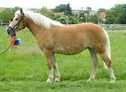 B�ra. Pro zv�t�en� klikn�te