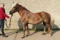 Lucie. Pro zv�t�en� klikn�te