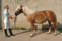 Gorti. Pro zv�t�en� klikn�te