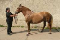 Luna. Pro zv�t�en� klikn�te