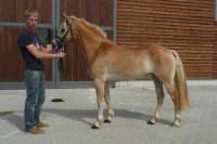 Asterka. Pro zv�t�en� klikn�te