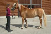 Fate Boom. Pro zv�t�en� klikn�te