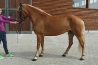 Nancy. Pro zv�t�en� klikn�te