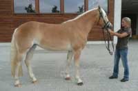 Casillia. Pro zv�t�en� klikn�te