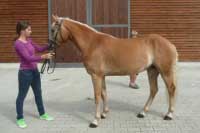 Svita. Pro zv�t�en� klikn�te