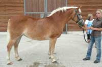 Milka. Pro zv�t�en� klikn�te