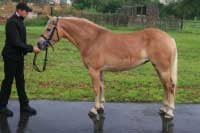 Lolita. Pro zv�t�en� klikn�te