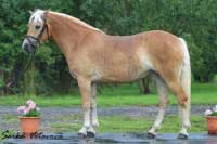 An�ze ze Sedla. Pro zv�t�en� klikn�te