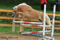 Skok ve volnosti - An�ze. Pro zv�t�en� klikn�te