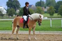 Drezura - An�ze. Pro zv�t�en� klikn�te