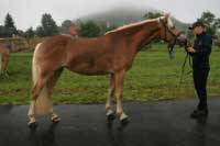 Marja. Pro zv�t�en� klikn�te