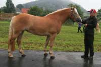 Emi von Stein. Pro zv�t�en� klikn�te