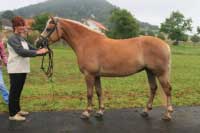 Madlen. Pro zv�t�en� klikn�te