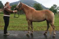 Manuela. Pro zv�t�en� klikn�te