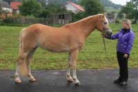 Fifteen. Pro zv�t�en� klikn�te