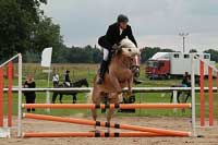 Bronzovou p���ku v parkuru vybojovala Sunflower. Pro zv�t�en� klikn�te