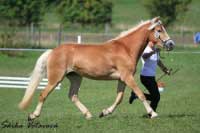 V�t�zka t��dy t��let�ch, Marja. Pro zv�t�en� klikn�te