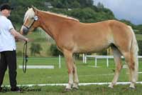 Mezi 4-5 let�mi bodovala Unadonna. Pro zv�t�en� klikn�te