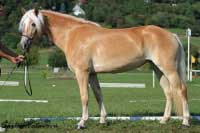 Campbella - v�t�zka t��dy star��ch klisen a celkov� �ampionka. Pro zv�t�en� klikn�te