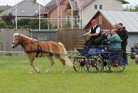 Gr�ta - zkou�ka v tahu. Pro zv�t�en� klikn�te