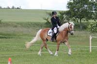 Pegy v drezurn� zkou�ce. Pro zv�t�en� klikn�te