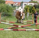 Pegy z�skala nejvy��� zn�mku za skok ve volnosti. Pro zv�t�en� klikn�te