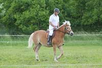 Goldie - drezura. Pro zv�t�en� klikn�te