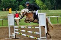 Sunflower. Pro zv�t�en� klikn�te