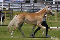 Amelina. Pro zv�t�en� klikn�te