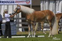 Daylight. Pro zv�t�en� klikn�te